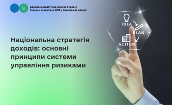 Національна стратегія доходів: основні принципи системи управління ризиками 