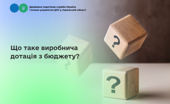 Що таке виробнича дотація з бюджету?