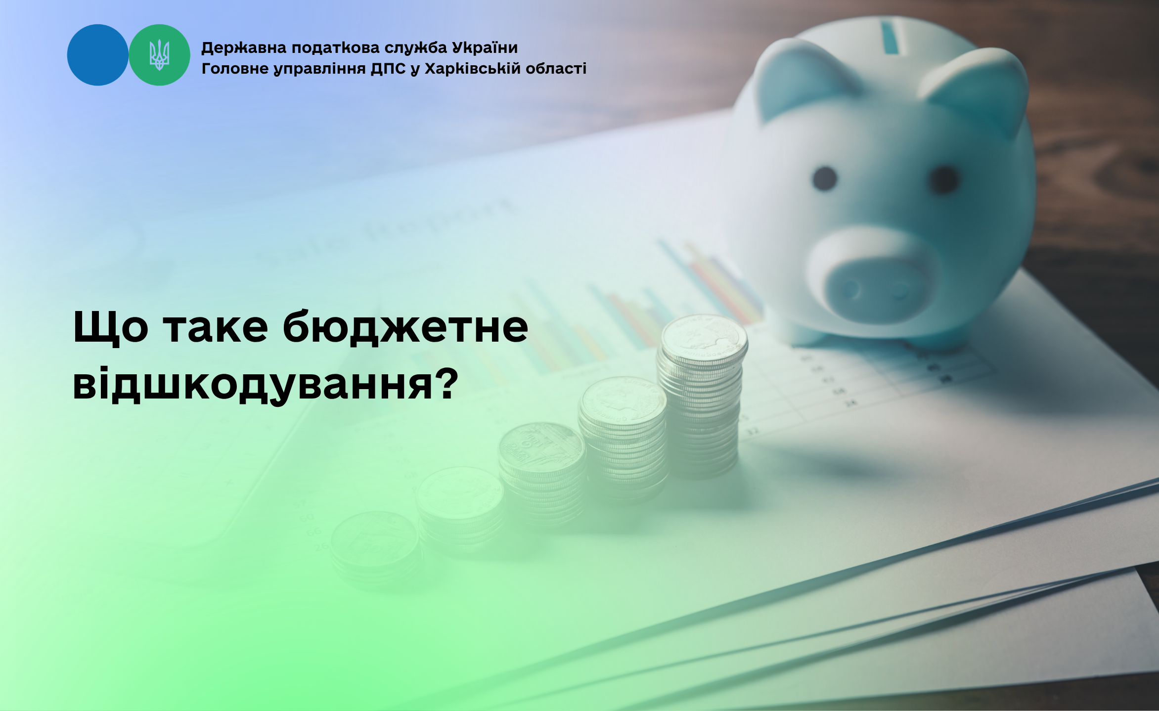 Що таке бюджетне відшкодування?