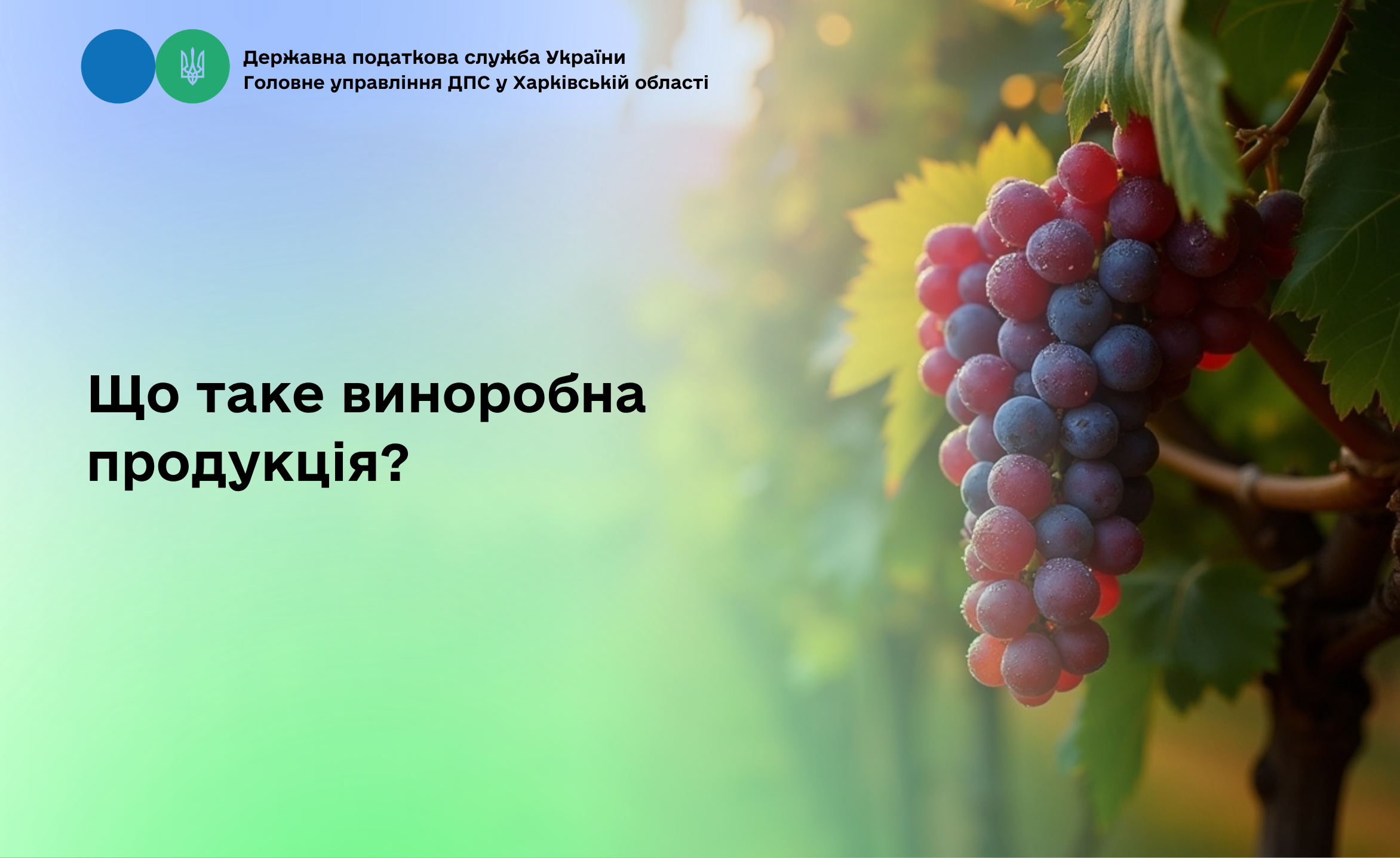 Що таке виноробна продукція?