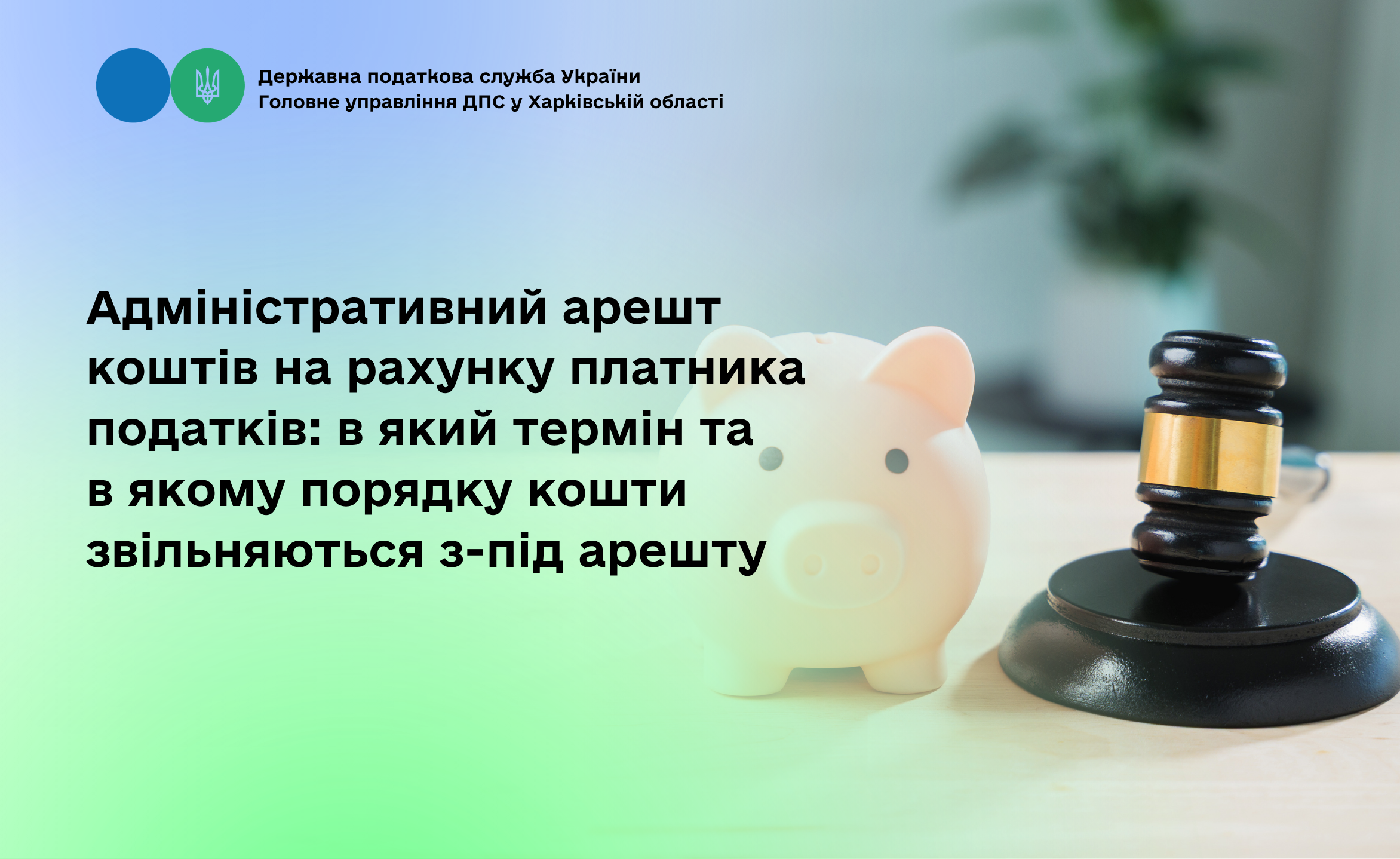 Адміністративний арешт коштів на рахунку платника податків: в який термін та в якому порядку кошти звільняються з-під арешту